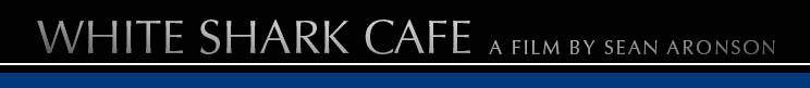 White Shark Cafe