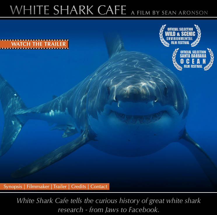 White Shark Cafe - The Film